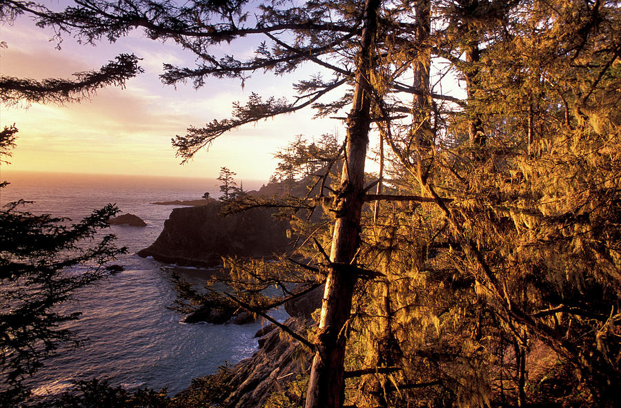 Image Digital Art - Oregon Coast by Heeb Photos
