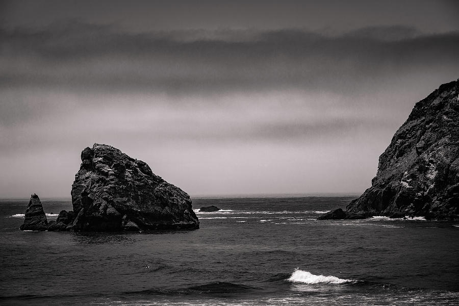 Oregon Coast in the FOG 9 Photograph by Mike Penney - Fine Art America