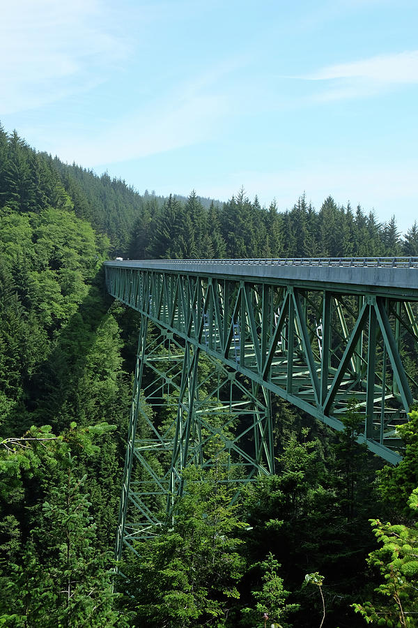 Nature Photograph - Oregon Coast Line With Trestle Train Bridge And Green Woods by Cavan Images