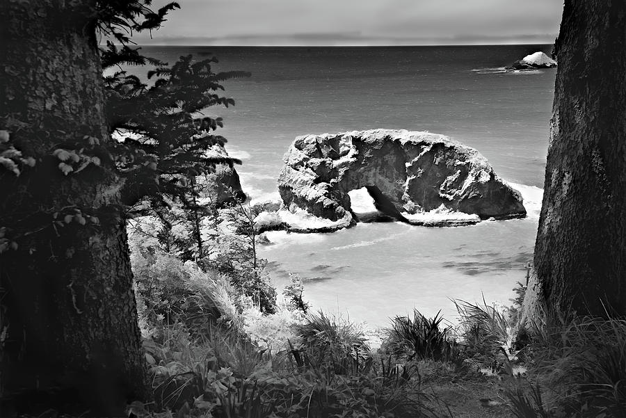 Oregon Coast Photograph by Maria Coulson