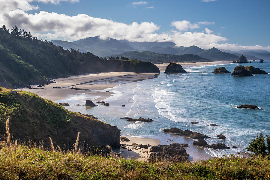 Oregon Coast by Mark Mille Oregon Coast by Mark Mille