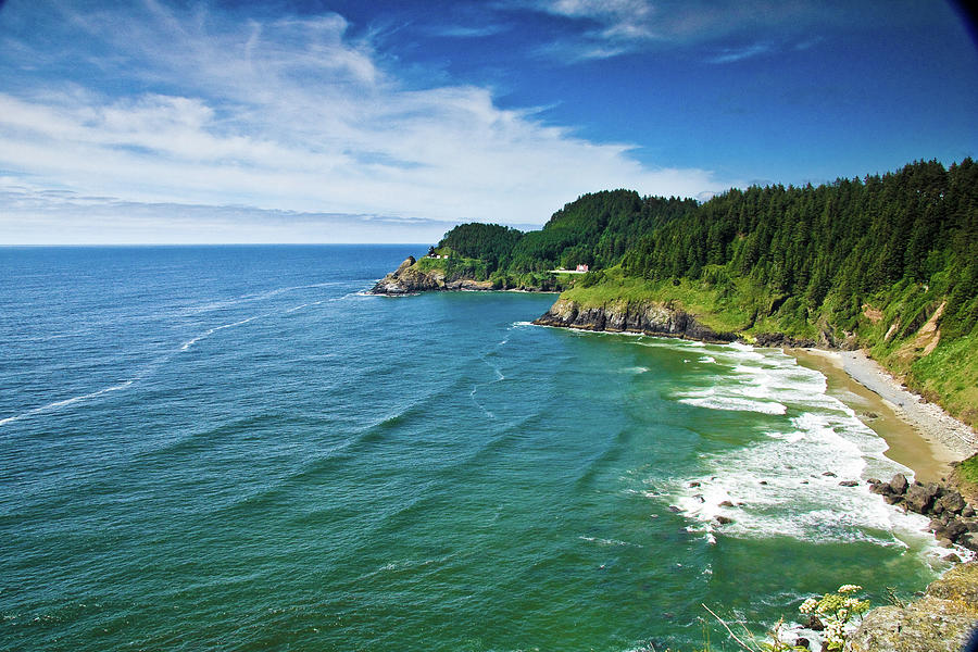 Oregon Coast Photograph by (photo By Neal Walker)