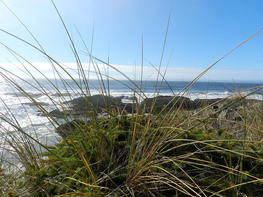 Landscape Photograph - Oregon Coast View by Bandie Newton