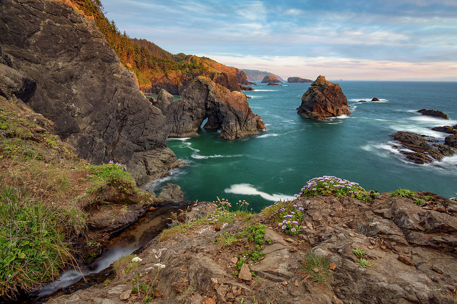 Oregon Coastal Scenic Photograph by Leland D Howard
