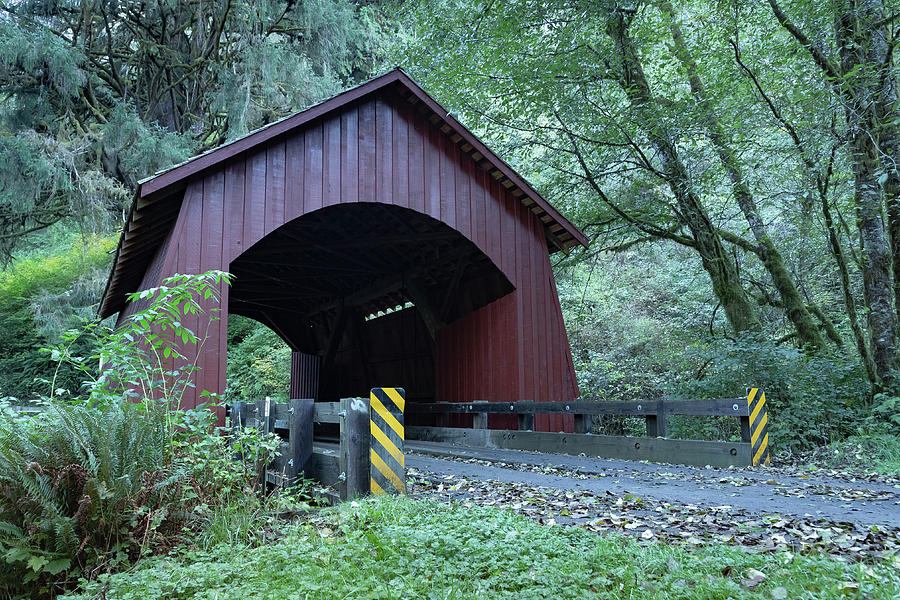 Oregon Country Covered Bridge Photograph by Scott Slone