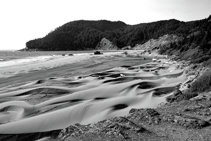 Oregon Dunes - B/W Photograph by Matthew Urbatchka