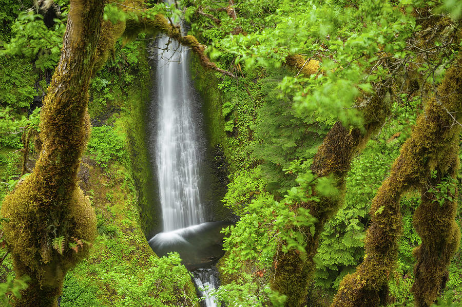 Oregon Eagle Creek Trail Waterfall Photograph by Fotovoyager