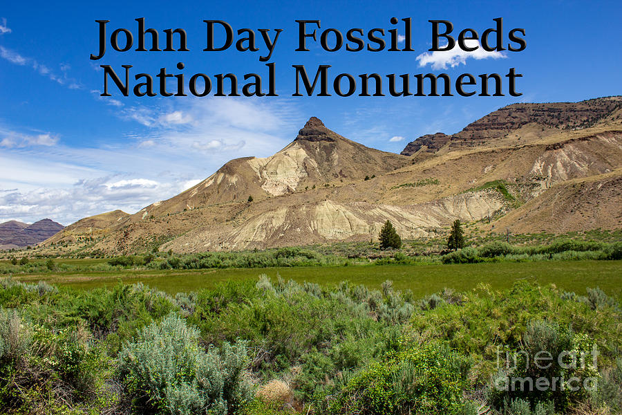 Oregon - John Day Fossil Beds National Monument Sheep Rock 1 Photograph ...