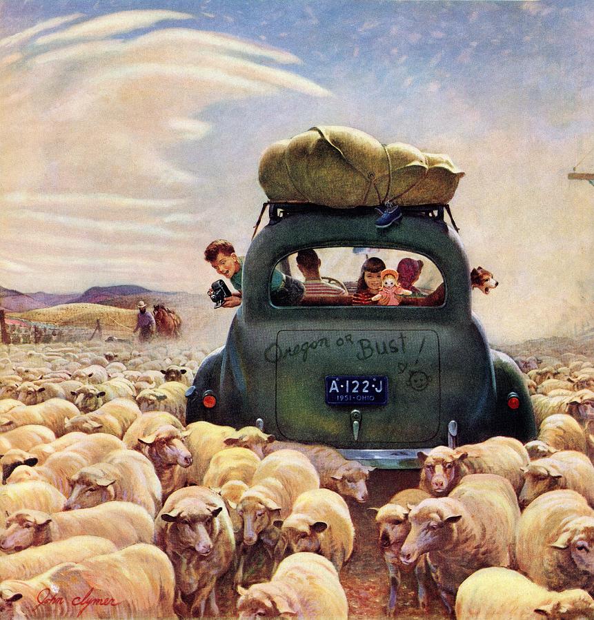 Sheep Drawing - Oregon Or Bust by John Clymer