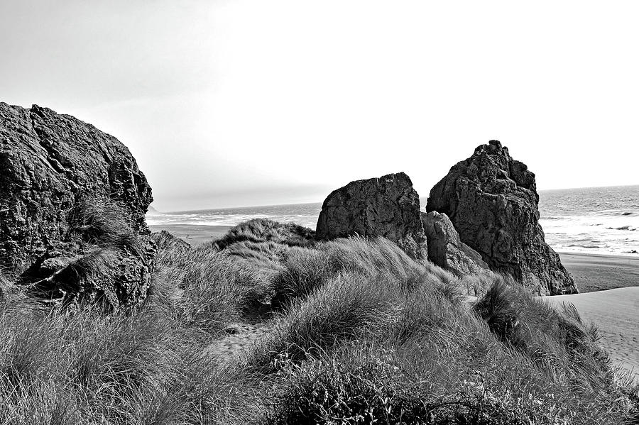 Oregon Rocks B/W Photograph by Matthew Urbatchka
