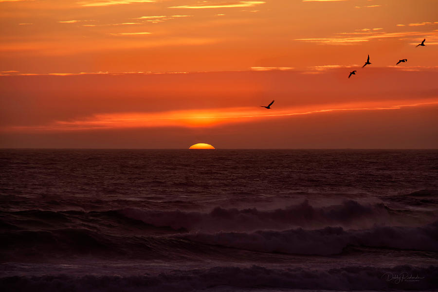 Oregon Sunset Photograph by Debby Richards