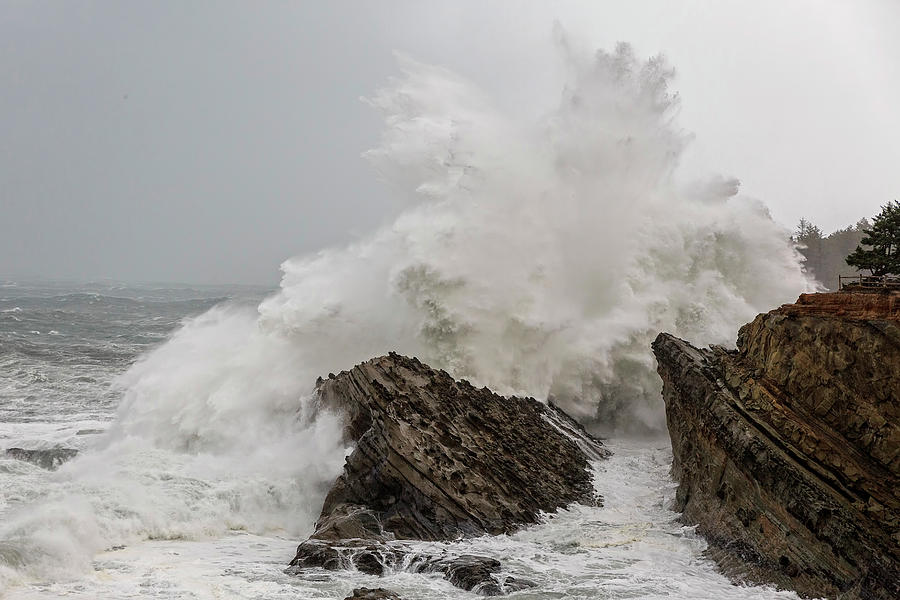 Oregon Wild Waves Photograph by Wes and Dotty Weber