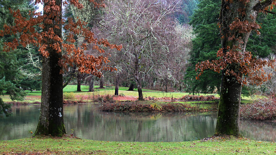 Oregon Winter Day Photograph by KATIE Vigil