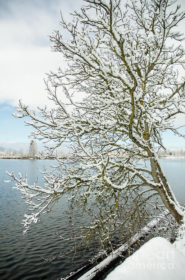 Oregon Winterscape Photograph by Nick Boren