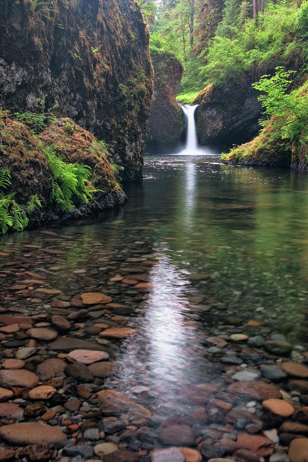 Oregon's Eagle Creek pours over Punchbowl Falls. Photograph by Larry ...