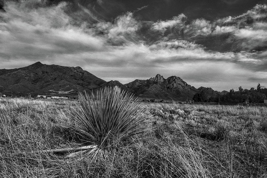 Organ Mountains, New Mexico Black and White Photograph by Chance Kafka