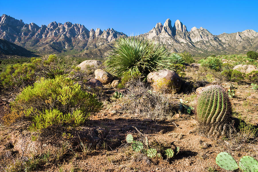 Organ Mountains Seen From Aguirre Photograph by Dszc