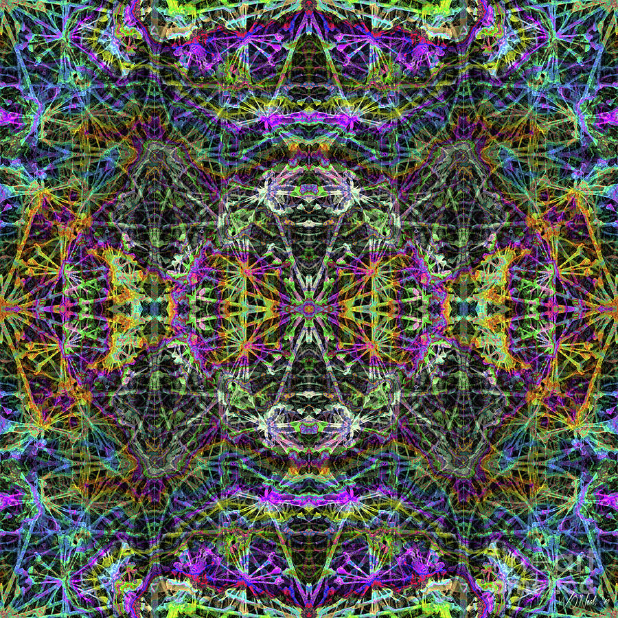 Abstract Digital Art - Fractal Organelles, No. 2 by Walter Neal