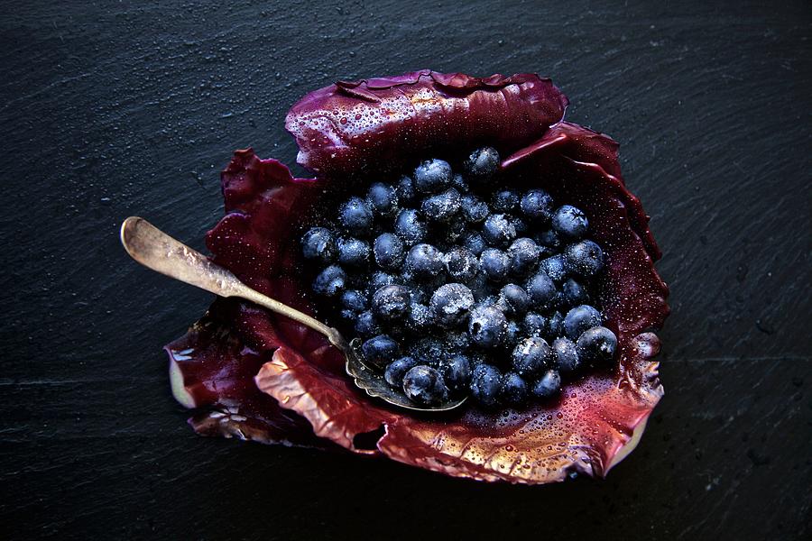 Organic Blueberries Served In A Red Cabbage Leaf With White Sugar On A Black Slate Stone Photograph by Andre Baranowski