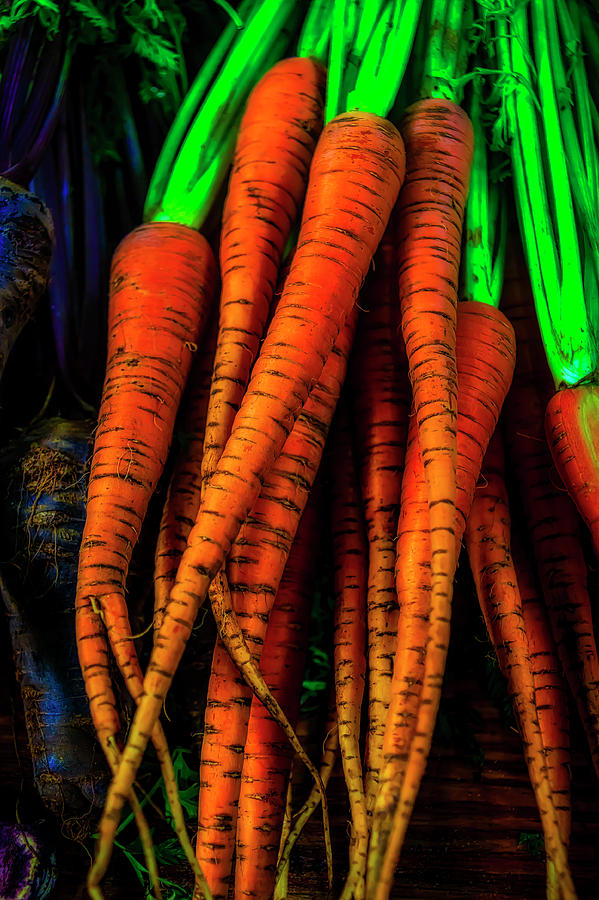 Organic Carrots Photograph by Garry Gay