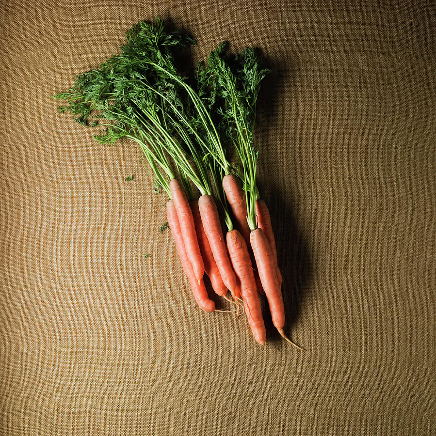 Organic  Carrots Photograph by Monica Rodriguez