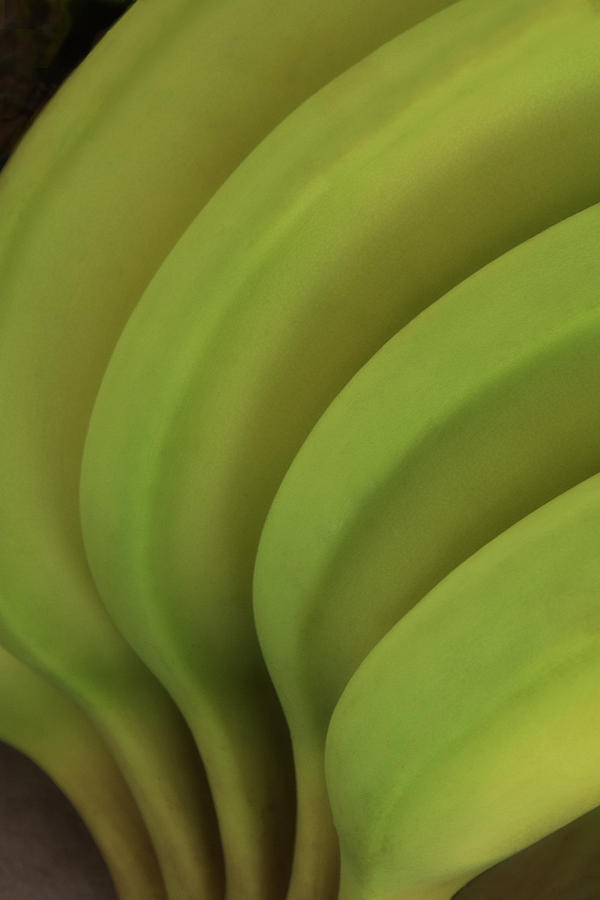 Organic Curves - Bananas Photograph by Mitch Spence