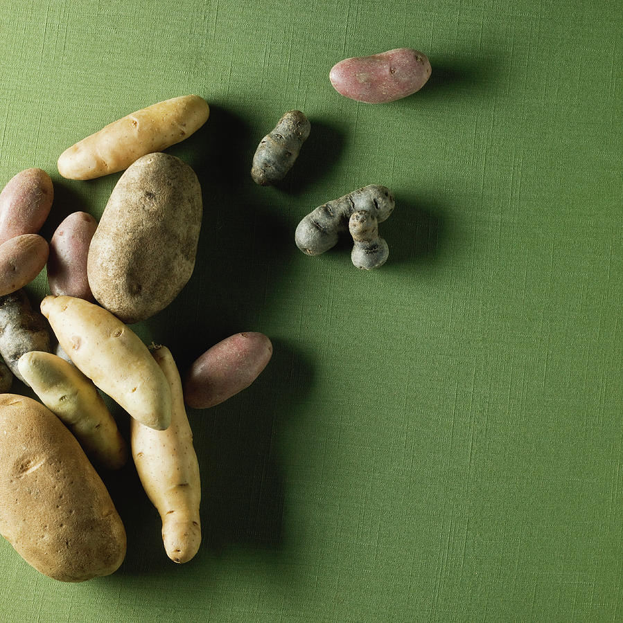 Organic Potatoes Photograph by Monica Rodriguez