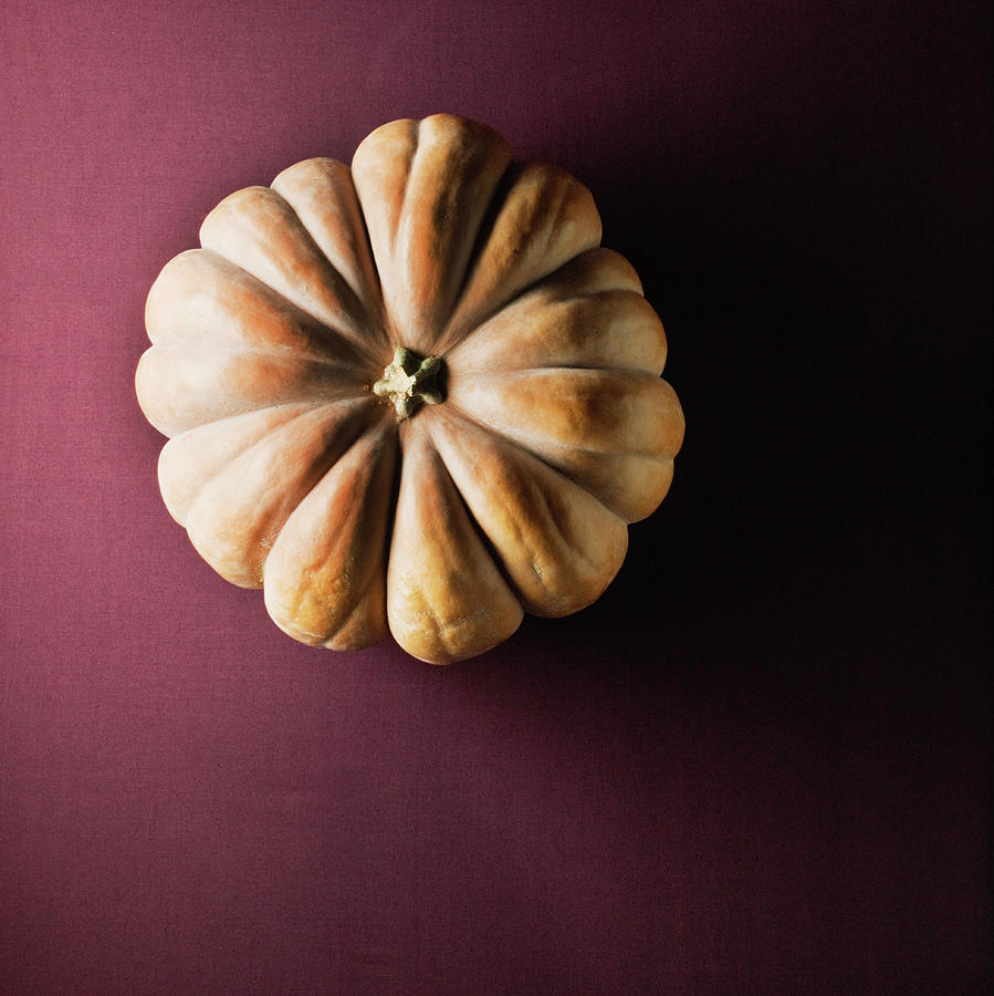 Organic Pumpkin Photograph by Monica Rodriguez