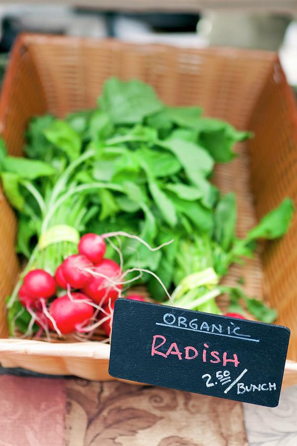 Organic Radishes At A Farmers Market Photograph by Amy Kalyn Sims