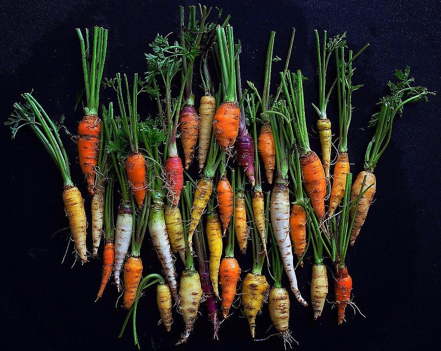 Organic Rainbow Carrots by Sarah Phillips Organic Rainbow Carrots by Sarah Phillips