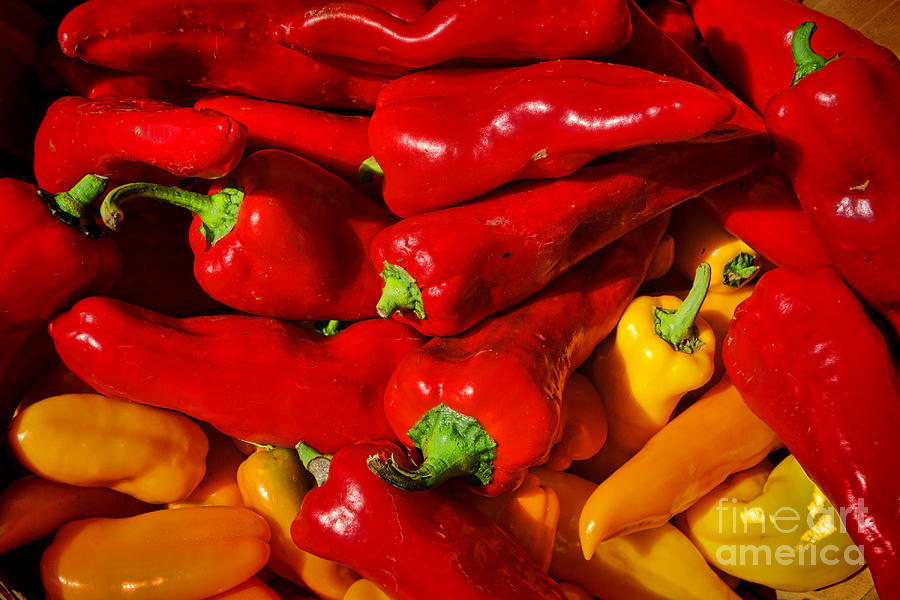 Organic Red and Yellow Peppers Photograph by Olivier Le Queinec