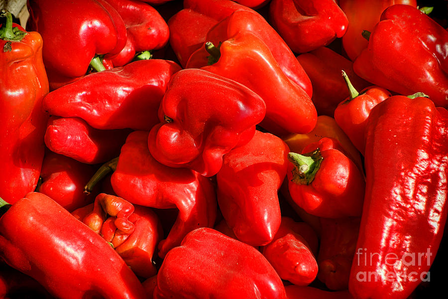 Organic Red Peppers Photograph by Olivier Le Queinec