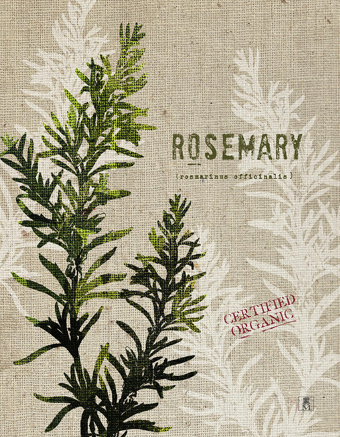 Beige Painting - Organic Rosemary No Butterfly by Studio Mousseau