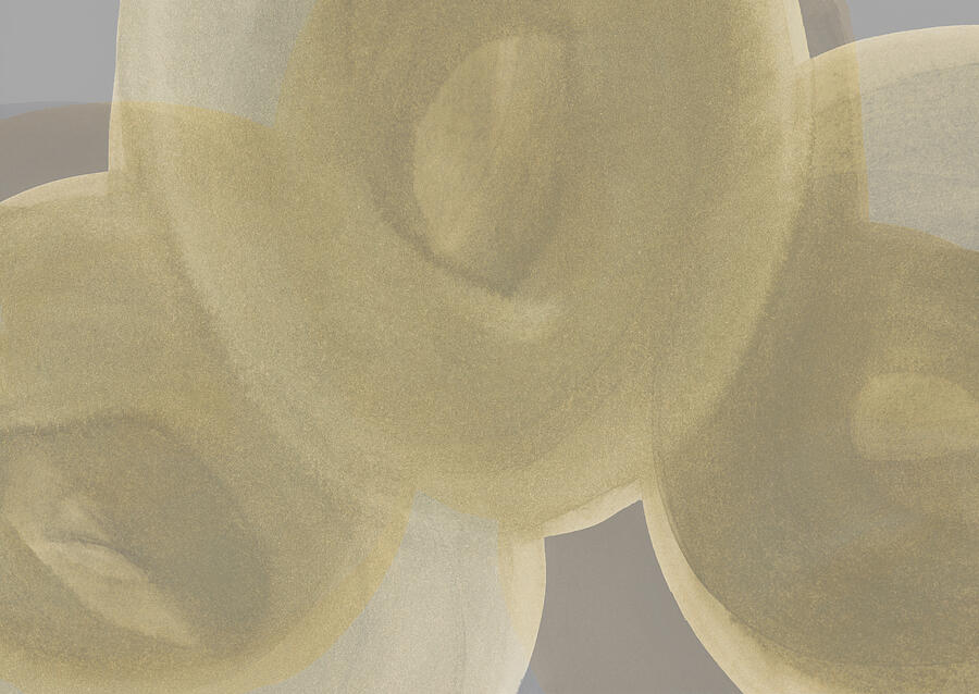 Organic Shapes Neutrals Photograph by Iris Lehnhardt Organic Shapes Neutrals Photograph by Iris Lehnhardt