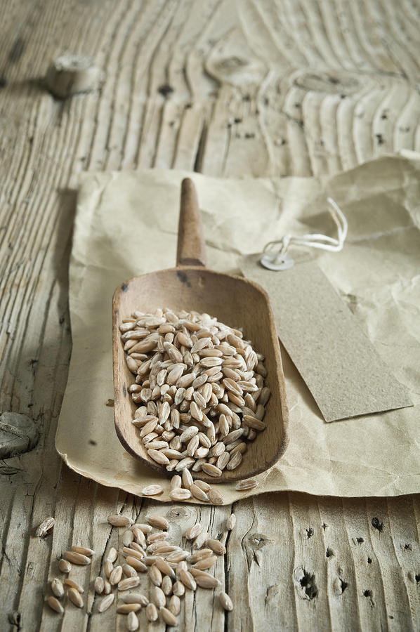 Organic Spelt On A Wooden Scoops On A Rustic Wooden Table Photograph by Achim Sass
