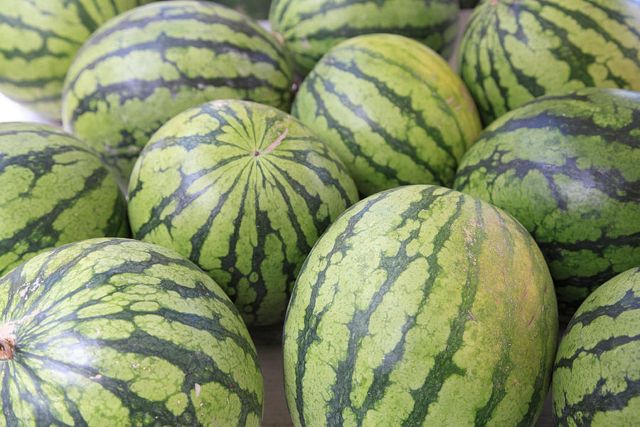 Organic Watermelon Photograph by Wendy Connett