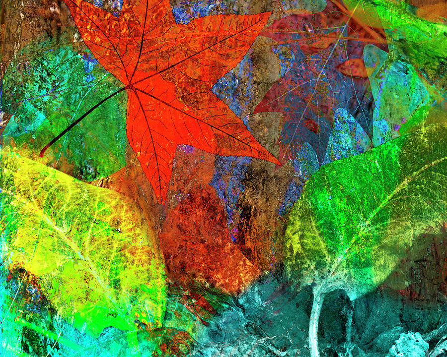 Leaves and Wood No 1 by Sandra Selle Rodriguez Leaves and Wood No 1 by Sandra Selle Rodriguez