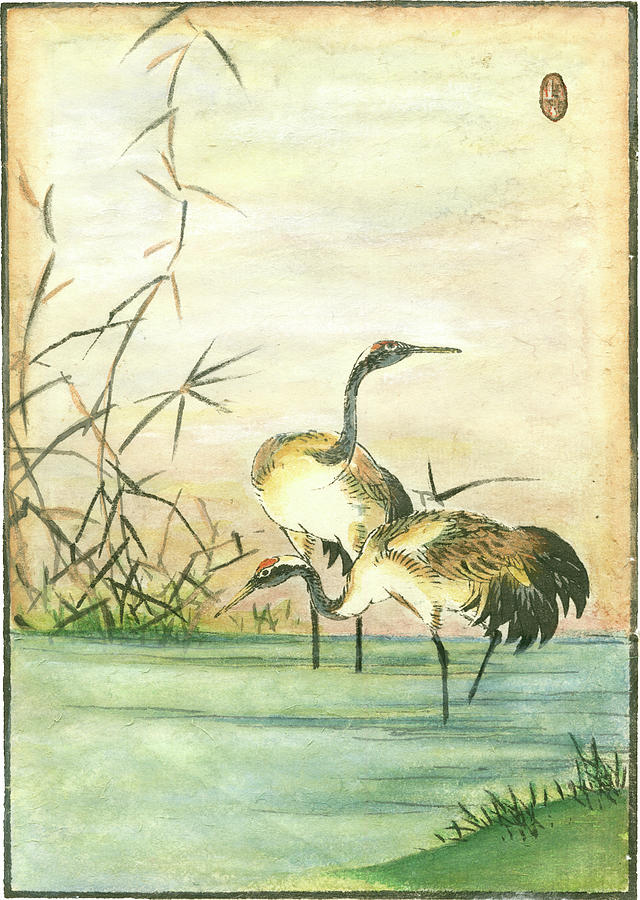 Bird Painting - Oriental Cranes II by Vision Studio