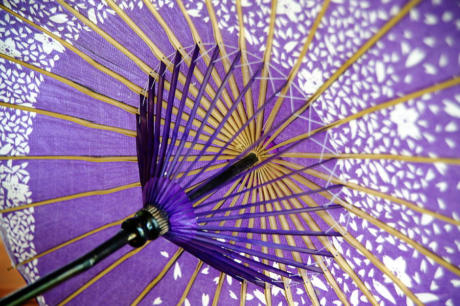 Oriental Umbrella Photograph by Paulomagoo
