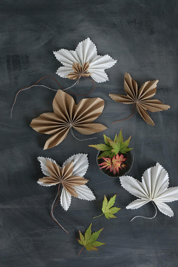 Origami Maple Leaves Photograph by Regina Hippel