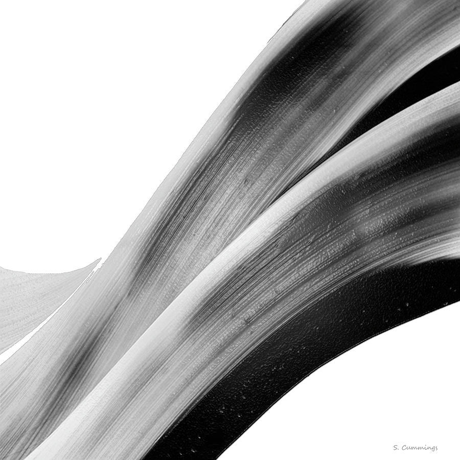 Original Black And White Abstract - Black Beauty 17 - Sharon Cummings Painting by Sharon Cummings