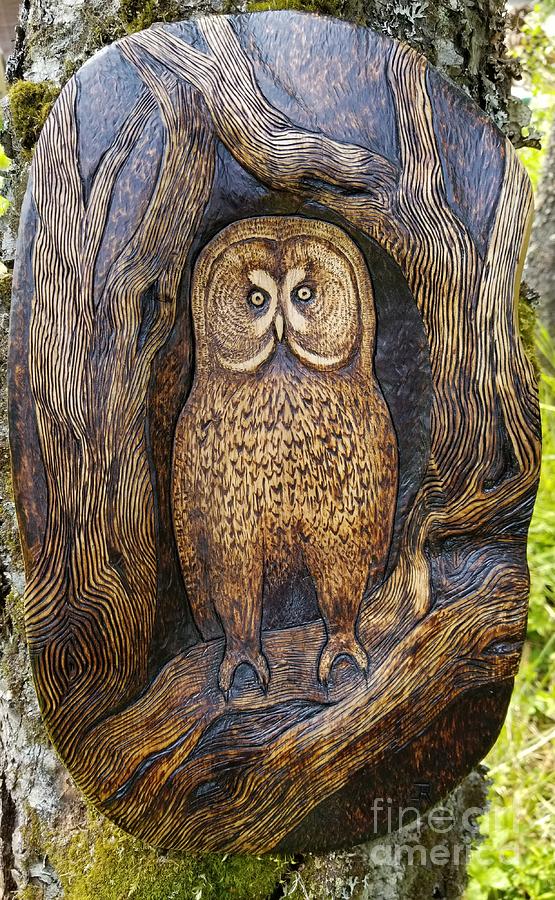 Owl Pyrography - Original Great Grey Owl in Gnarled Tree Woodburned Sculpture by J Riske