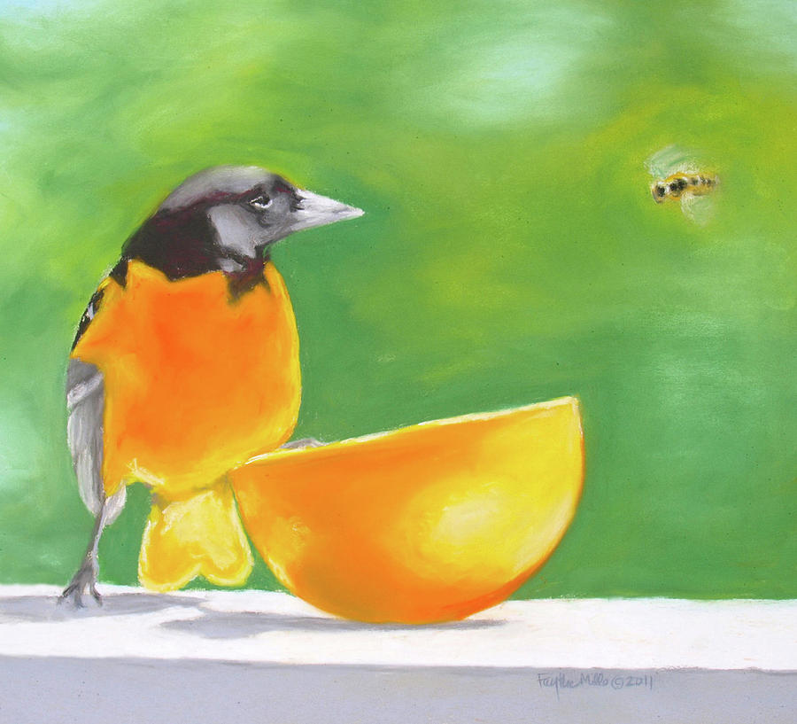 Oriole Drawing - Oriole and the Orange by Faythe Mills
