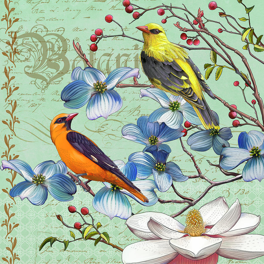 Magnolia Movie Mixed Media - Oriole Bird Botanical by Art Licensing Studio