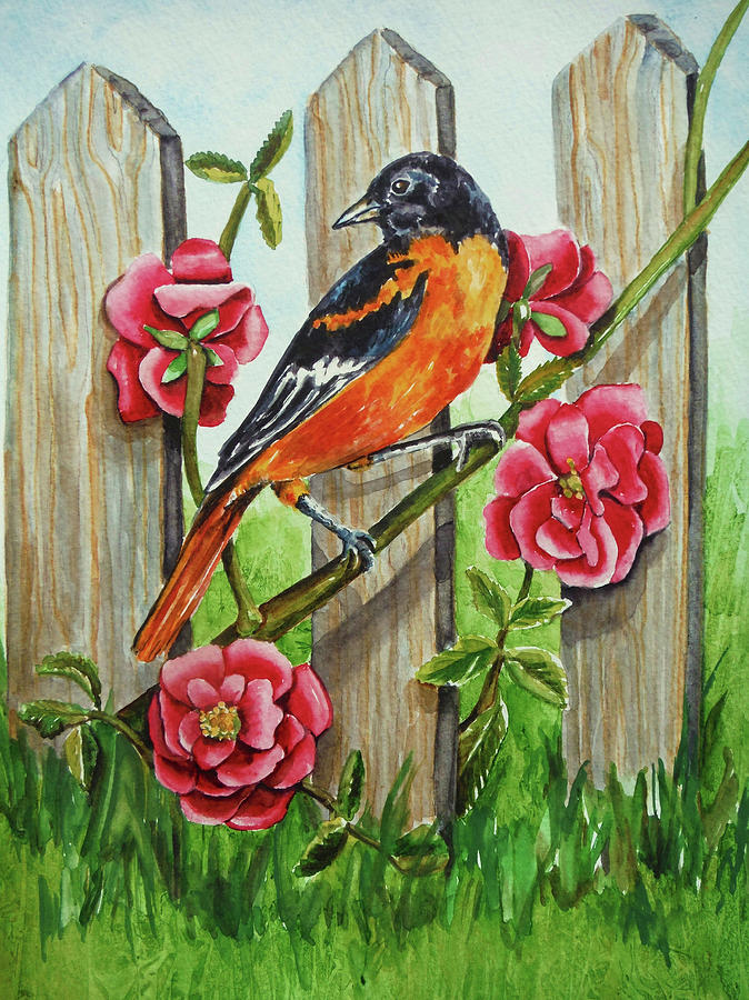 Oriole Painting - Oriole by Charlsie Kelly