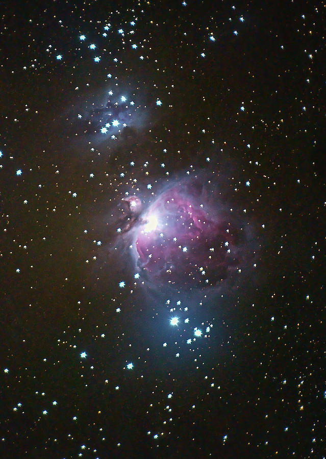 Orion Nebula Photograph by Mark Duehmig