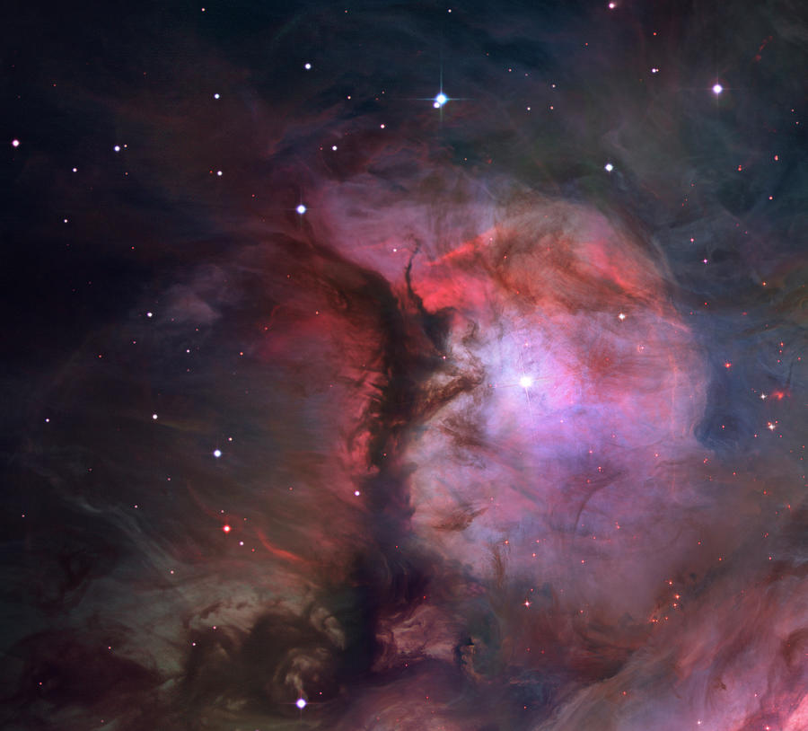 Orion Nebula Photograph by Nasa/esa/stsci/m.robberto,hst Orion Treasury Team/ Spl