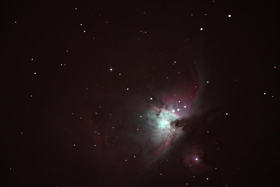 Orion Nebula Photograph by Pat Gaines