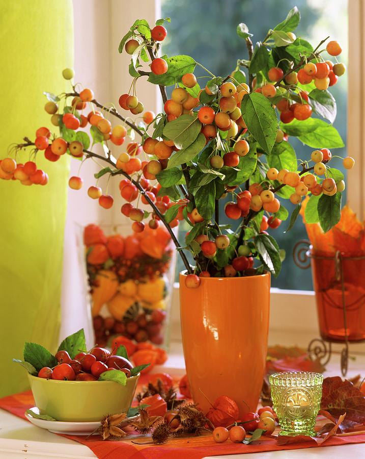 Ornamental Apple Branches malus In Orange Vase, Green Bowl Photograph by Friedrich Strauss
