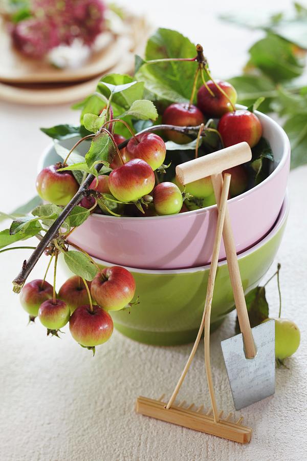 Ornamental Apples In A Stack Of Bowls With A Mini Rake And A Mini Spade Photograph by Franziska Taube